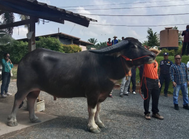 นที่ 9 มีนาคม 2566 นายประเสริฐศักดิ์ ณ นคร ... พารามิเตอร์รูปภาพ 6