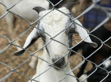 วันที่ 13 มีนาคม 2566 นายประเสริฐศักดิ์ ณ นคร ... พารามิเตอร์รูปภาพ 4