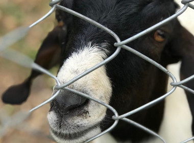 วันที่ 13 มีนาคม 2566 นายประเสริฐศักดิ์ ณ นคร ... พารามิเตอร์รูปภาพ 5