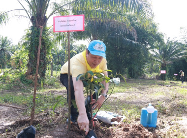 วันที่ 29 พฤษภาคม 2568 สำนักงานสหกรณ์จังหวัดกระบี่ ... พารามิเตอร์รูปภาพ 5