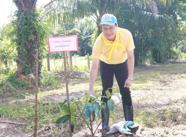 วันที่ 29 พฤษภาคม 2568 สำนักงานสหกรณ์จังหวัดกระบี่ ... พารามิเตอร์รูปภาพ 6