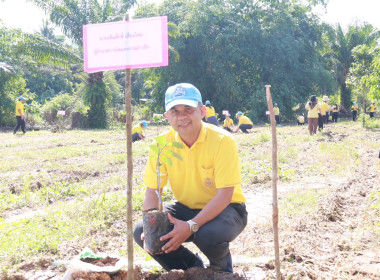 วันที่ 29 พฤษภาคม 2568 สำนักงานสหกรณ์จังหวัดกระบี่ ... พารามิเตอร์รูปภาพ 32