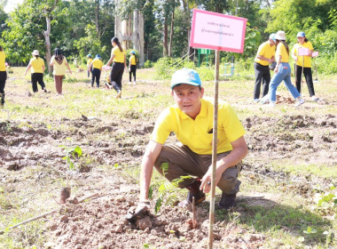 วันที่ 29 พฤษภาคม 2568 สำนักงานสหกรณ์จังหวัดกระบี่ ... พารามิเตอร์รูปภาพ 31