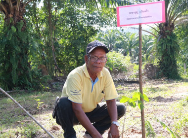 วันที่ 29 พฤษภาคม 2568 สำนักงานสหกรณ์จังหวัดกระบี่ ... พารามิเตอร์รูปภาพ 28