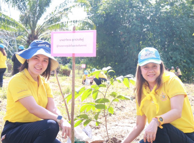 วันที่ 29 พฤษภาคม 2568 สำนักงานสหกรณ์จังหวัดกระบี่ ... พารามิเตอร์รูปภาพ 15