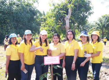 วันที่ 29 พฤษภาคม 2568 สำนักงานสหกรณ์จังหวัดกระบี่ ... พารามิเตอร์รูปภาพ 12