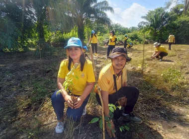 วันที่ 29 พฤษภาคม 2568 สำนักงานสหกรณ์จังหวัดกระบี่ ... พารามิเตอร์รูปภาพ 8