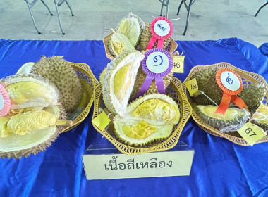 วันที่ 9 มิถุนายน 2568 ... พารามิเตอร์รูปภาพ 6