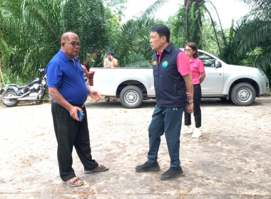 วันที่ 1 กรกฎาคม 2568 เข้าตรวจเยี่ยมลานเทปาล์มน้ำมัน ... พารามิเตอร์รูปภาพ 1