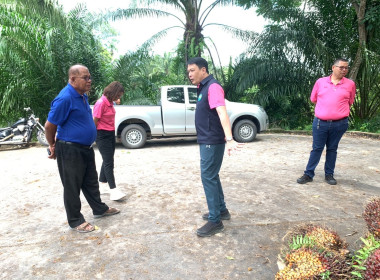 วันที่ 1 กรกฎาคม 2568 เข้าตรวจเยี่ยมลานเทปาล์มน้ำมัน ... พารามิเตอร์รูปภาพ 2