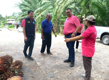 วันที่ 1 กรกฎาคม 2568 เข้าตรวจเยี่ยมลานเทปาล์มน้ำมัน ... พารามิเตอร์รูปภาพ 4