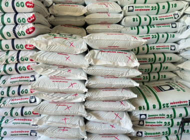 วันที่ 28 ตุลาคม 2568 ... พารามิเตอร์รูปภาพ 13