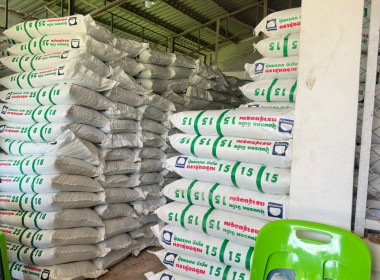 วันที่ 28 ตุลาคม 2568 ... พารามิเตอร์รูปภาพ 12