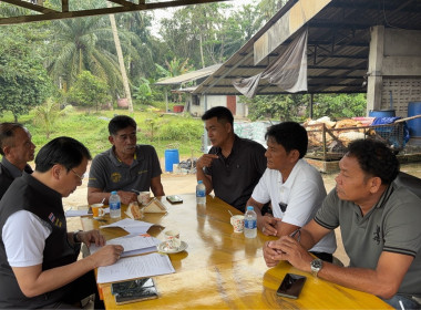 วันที่ 19 พฤศจิกายน 2568 ... พารามิเตอร์รูปภาพ 3