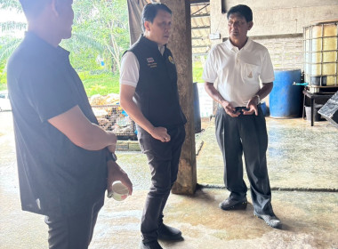 วันที่ 19 พฤศจิกายน 2568 ... พารามิเตอร์รูปภาพ 4