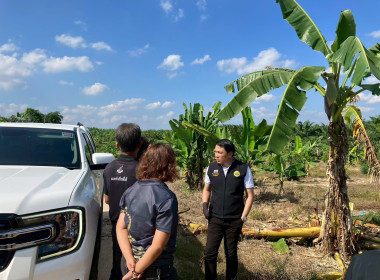 วันที่ 2 ธันวาคม 2568 เวลา 13.00 ... พารามิเตอร์รูปภาพ 9