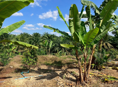 วันที่ 2 ธันวาคม 2568 เวลา 13.00 ... พารามิเตอร์รูปภาพ 10