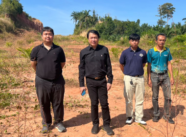 วันที่ 25 ธันวาคม 2568 ... พารามิเตอร์รูปภาพ 3