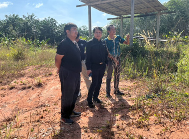 วันที่ 25 ธันวาคม 2568 ... พารามิเตอร์รูปภาพ 4