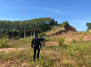 วันที่ 25 ธันวาคม 2568 ... พารามิเตอร์รูปภาพ 5