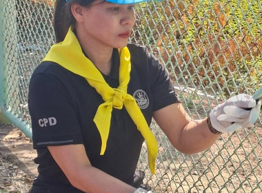 วันที่ 24 มกราคม 2569 ... พารามิเตอร์รูปภาพ 14