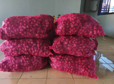 วันที่ 28 มกราคม 2569 นายพิพัฒน์ นาคธรณินทร์ ... พารามิเตอร์รูปภาพ 4