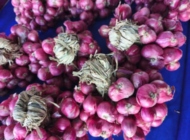 วันที่ 28 มกราคม 2569 นายพิพัฒน์ นาคธรณินทร์ ... พารามิเตอร์รูปภาพ 3