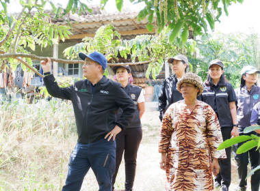 วันที่ 12 กุมภาพันธ์ 2569 ... พารามิเตอร์รูปภาพ 15