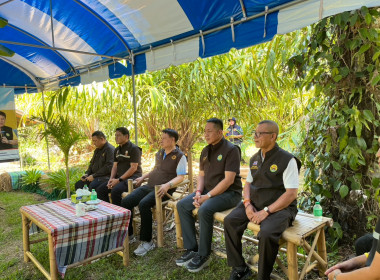 วันที่ 1 - 2 มีนาคม 2569 ... พารามิเตอร์รูปภาพ 17