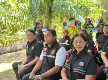 วันที่ 1 - 2 มีนาคม 2569 ... พารามิเตอร์รูปภาพ 24