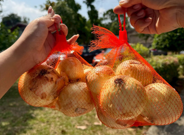 วันที่ 9 มีนาคม 2569 นายพิพัฒน์ นาคธรณินทร์ ... พารามิเตอร์รูปภาพ 4