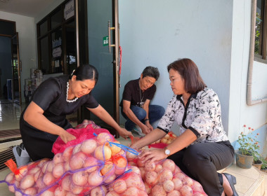 วันที่ 9 มีนาคม 2569 นายพิพัฒน์ นาคธรณินทร์ ... พารามิเตอร์รูปภาพ 6