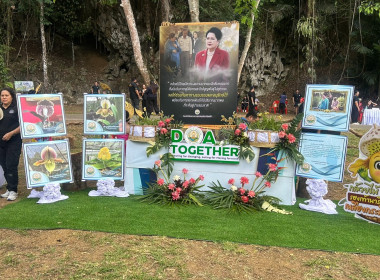 วันที่ 25 มีนาคม 2569 ... พารามิเตอร์รูปภาพ 2