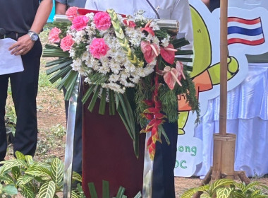 วันที่ 25 มีนาคม 2569 ... พารามิเตอร์รูปภาพ 6