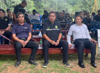 วันที่ 25 มีนาคม 2569 ... พารามิเตอร์รูปภาพ 13