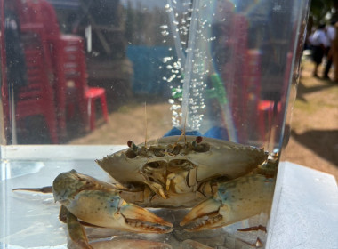 วันที่ 31 มีนาคม 2569 เวลา 09.00 น. ... พารามิเตอร์รูปภาพ 7