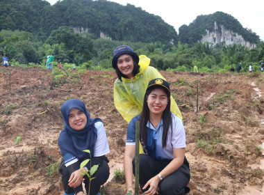 วันที่ 5 มิถุนายน 2569 สำนักงานสหกรณ์จังหวัดกระบี่ ... พารามิเตอร์รูปภาพ 16