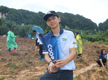 วันที่ 5 มิถุนายน 2569 สำนักงานสหกรณ์จังหวัดกระบี่ ... พารามิเตอร์รูปภาพ 15