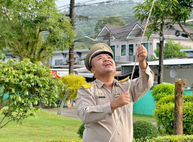 วันที่ 28 กันยายน 2569 เวลา 08.00 น. ... พารามิเตอร์รูปภาพ 10