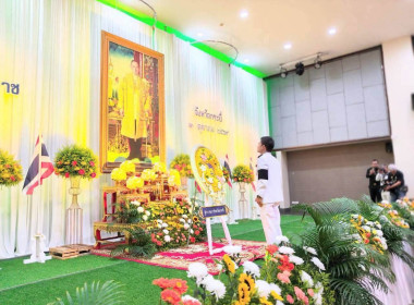 วันที่ 13 ตุลาคม 2569 ... พารามิเตอร์รูปภาพ 13