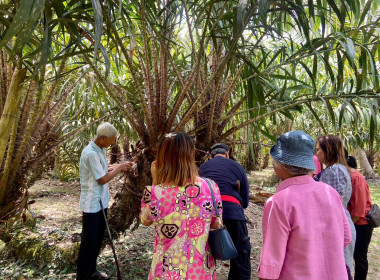 วันที่ 21 มีนาคม 2566 นายประเสริฐศักดิ์ ณ นคร ... พารามิเตอร์รูปภาพ 11