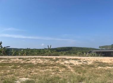 วันที่ 24 มีนาคม 2566 นายประเสริฐศักดิ์ ณ นคร ... พารามิเตอร์รูปภาพ 3