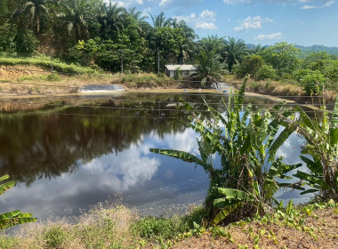 วันที่ 29 มีนาคม 2566 เวลา 14.30 น. นายประเสริฐศักดิ์ ณ นคร ... พารามิเตอร์รูปภาพ 1