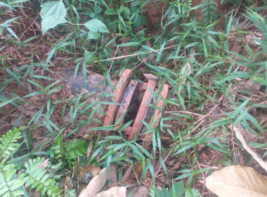 วันที่ 29 มีนาคม 2566 เวลา 14.30 น. นายประเสริฐศักดิ์ ณ นคร ... พารามิเตอร์รูปภาพ 2