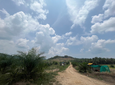 วันที่ 21 เมษายน 2566 นายประเสริฐศักดิ์ ณ นคร ... พารามิเตอร์รูปภาพ 6