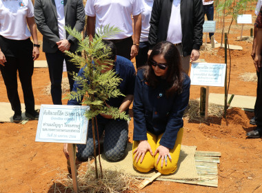 วันที่ 26 เมษายน 2566 ... พารามิเตอร์รูปภาพ 15