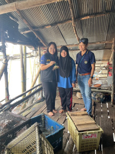 วันที่ 23 พฤศจิกายน 2566 ... พารามิเตอร์รูปภาพ 1