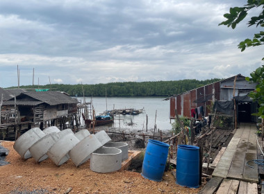 วันที่ 23 พฤศจิกายน 2566 ... พารามิเตอร์รูปภาพ 3