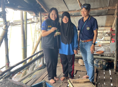 วันที่ 23 พฤศจิกายน 2566 ... พารามิเตอร์รูปภาพ 4