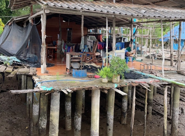 วันที่ 23 พฤศจิกายน 2566 ... พารามิเตอร์รูปภาพ 6